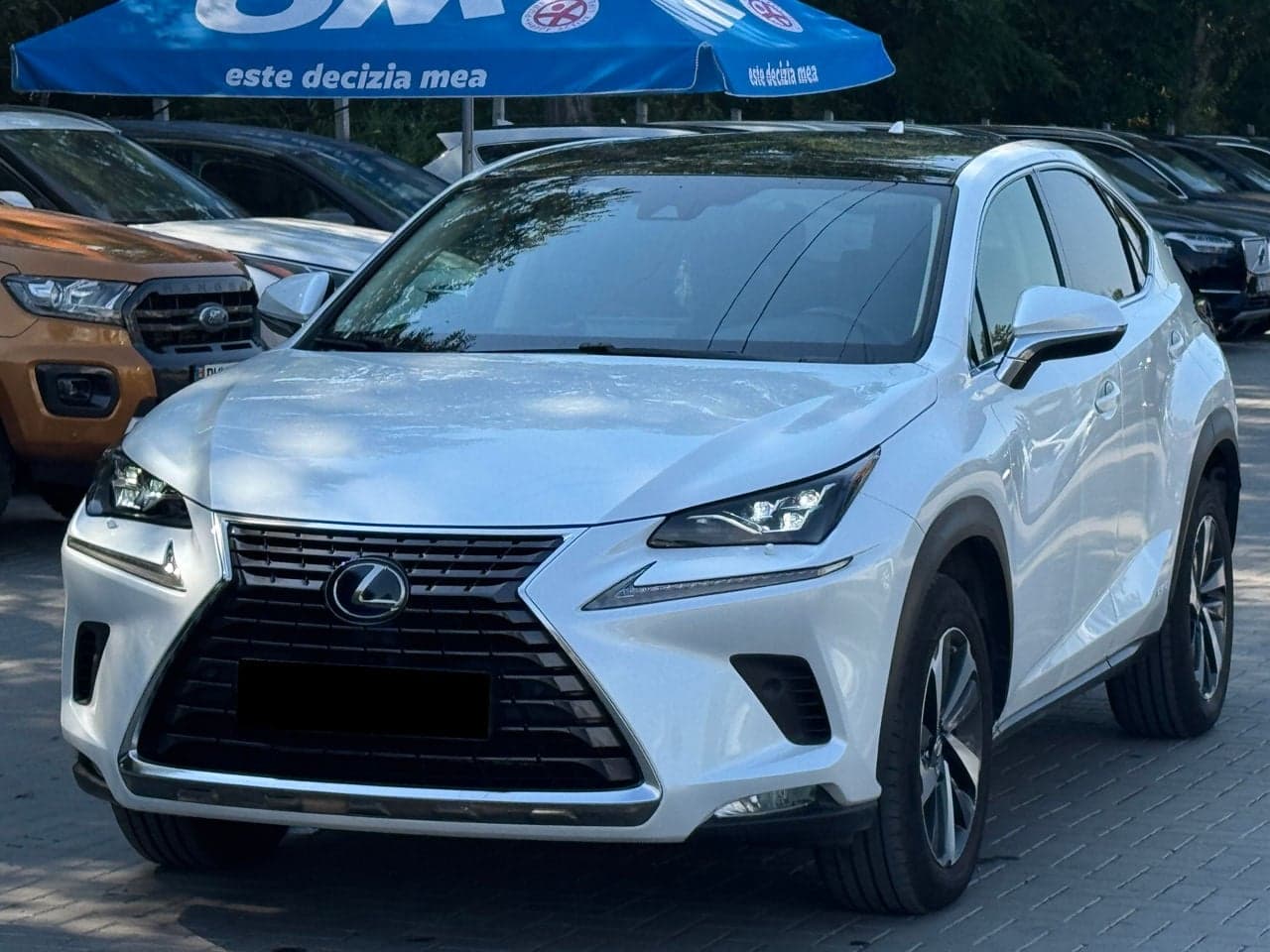 Lexus NX 300H